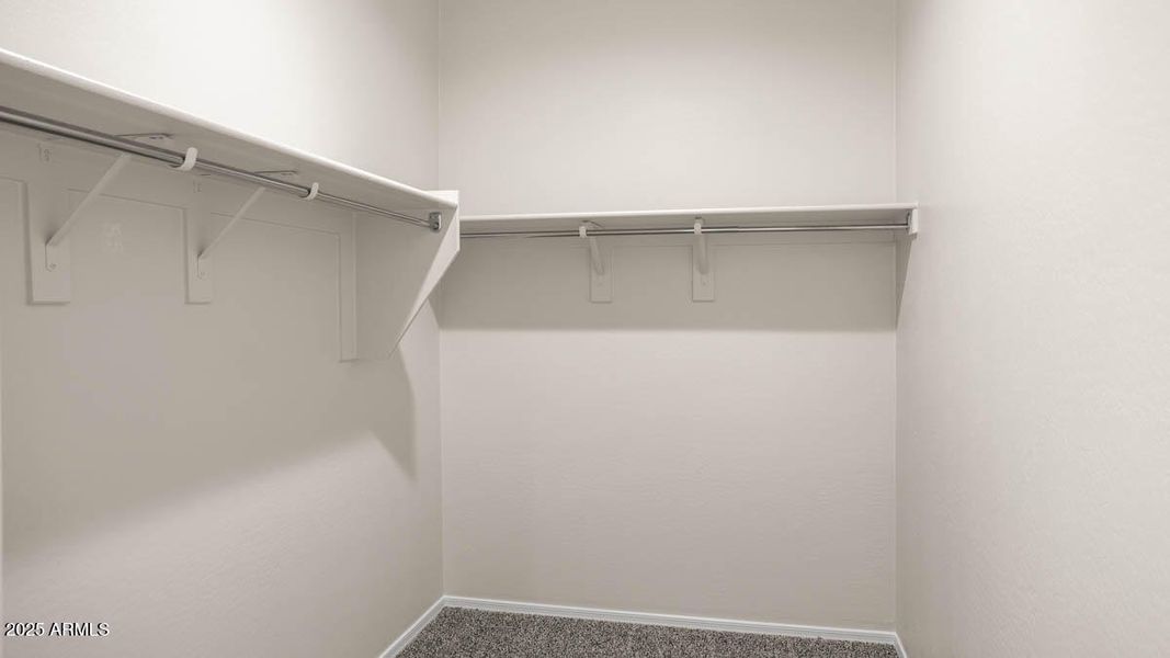 Mockingbird-Estrella Vista-3730-Buckeye-