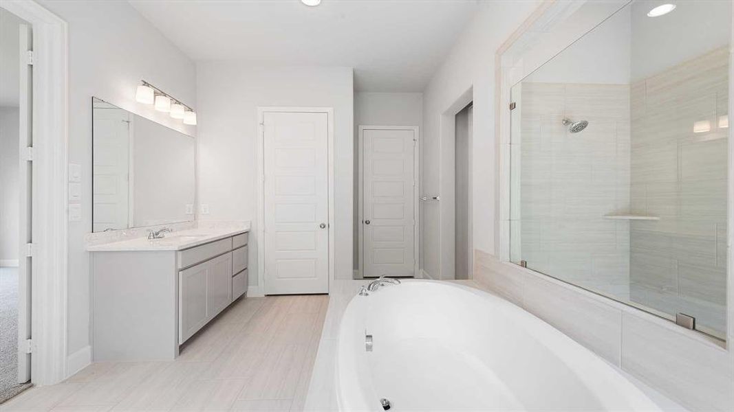 Bathroom featuring shower with separate bathtub and vanity