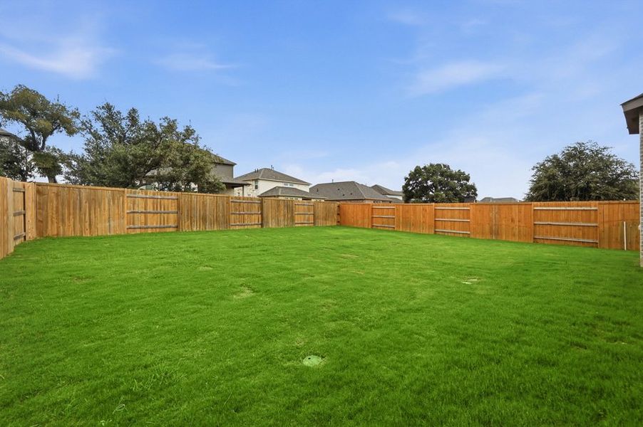 Backyard