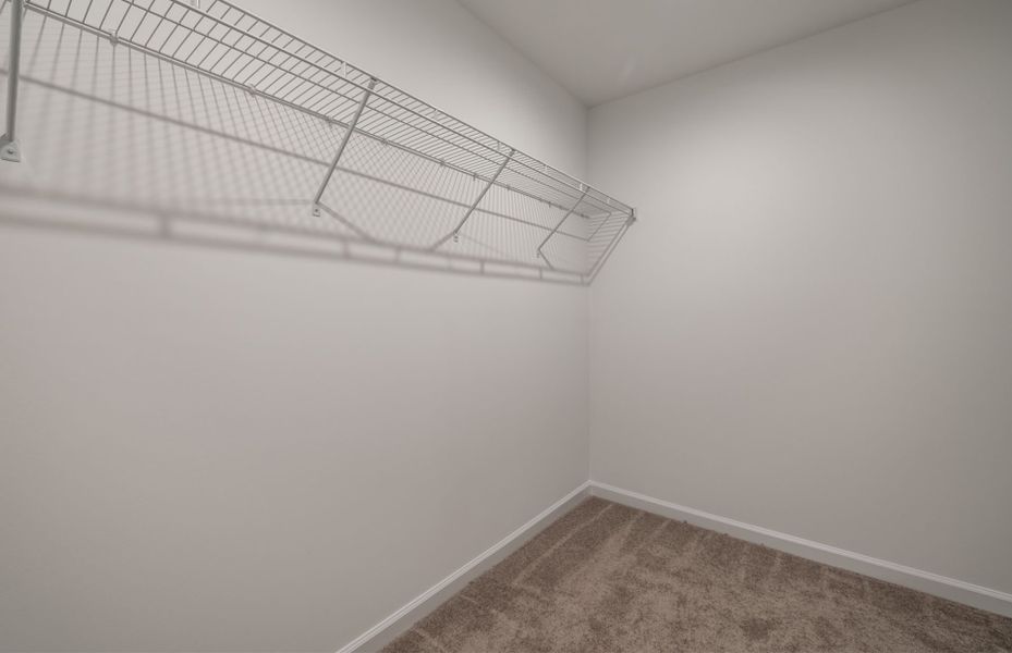 Oriole Owner's Closet