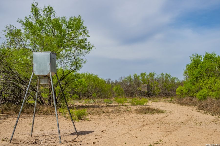 Natural landscape and outdoor views near in Crystal City (Image 40). Natural landscape and outdoor views near in Crystal City (Image 40).