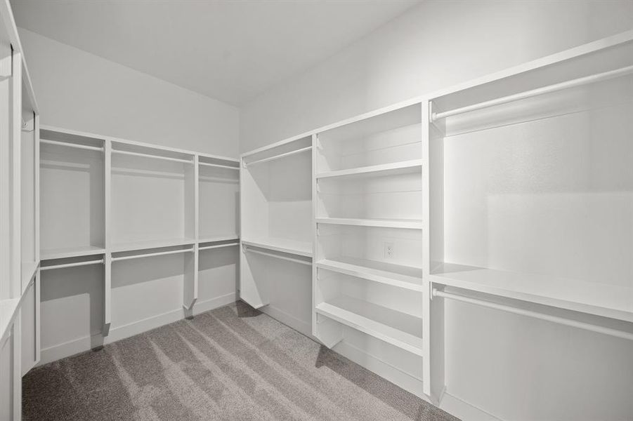 Spacious closet featuring light colored carpet