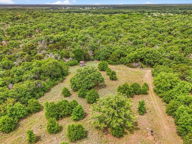 Extensive wooded acreage featuring a cleared path and a small structure