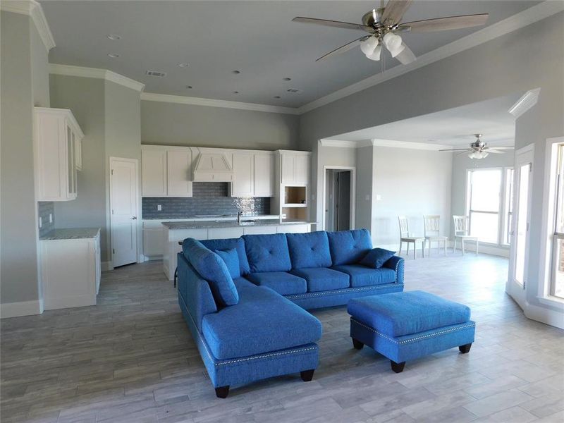 Living room featuring ceiling fan, light wood-type flooring, crown molding, and sink