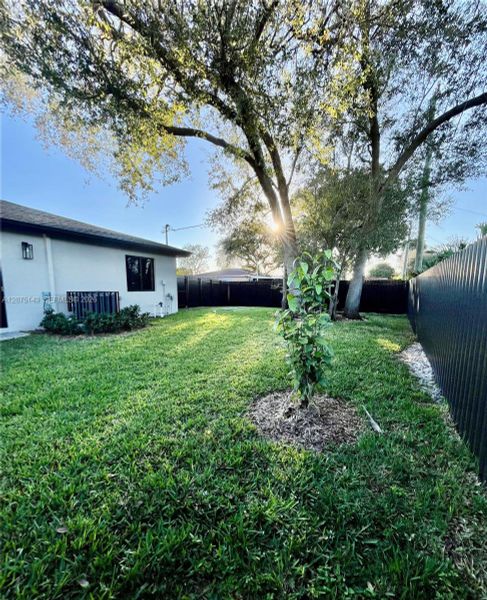 Natural landscape and outdoor views near  in Miami Gardens (Image 10).