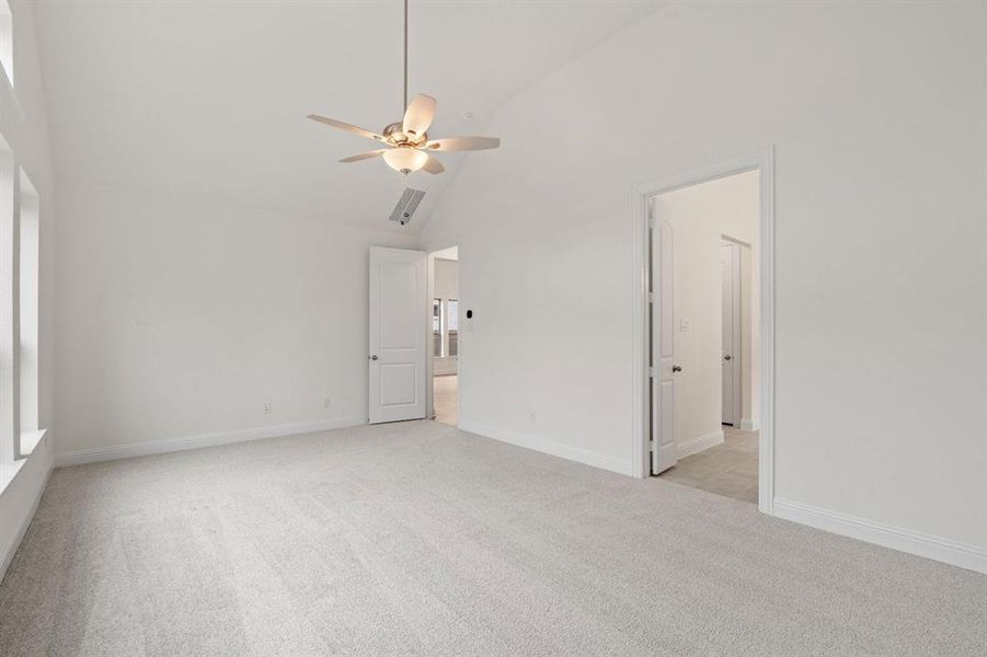 DAL_Painted Tree_Easton_3204 Vermilion Street (19) DAL_Painted Tree_Easton_3204 Vermilion Street (19)