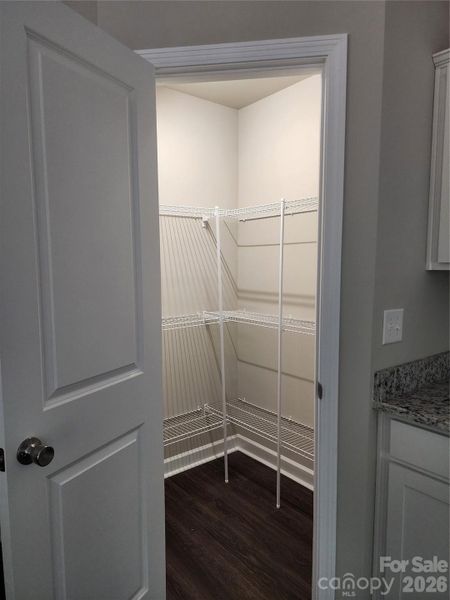 Walk in Pantry