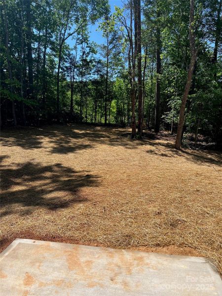 Natural landscape and outdoor views near in Statesville (Image 16). Natural landscape and outdoor views near in Statesville (Image 16).