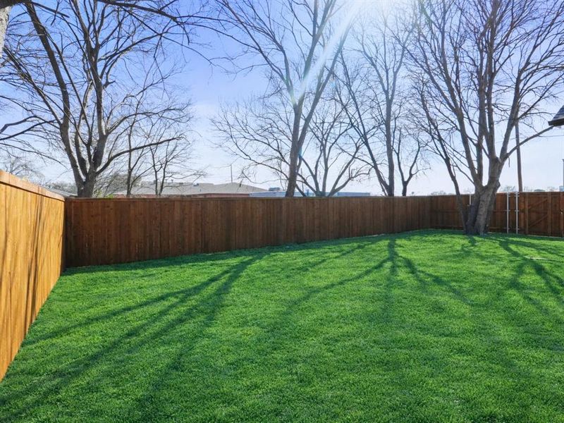 View of fenced backyard