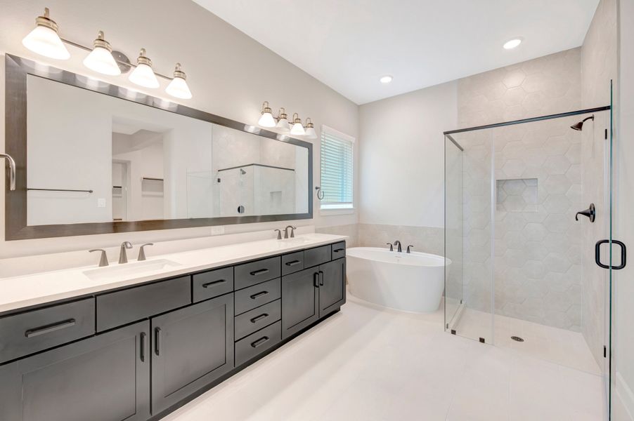 Owner's Bath