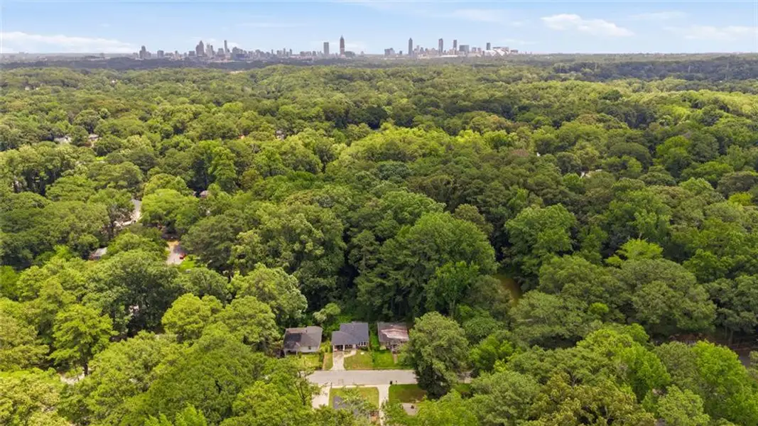 Natural landscape and outdoor views near  in Atlanta (Image 19).