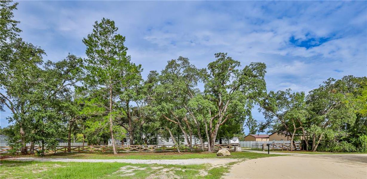 Natural landscape and outdoor views near in Weeki Wachee (Image 55). Natural landscape and outdoor views near in Weeki Wachee (Image 55).