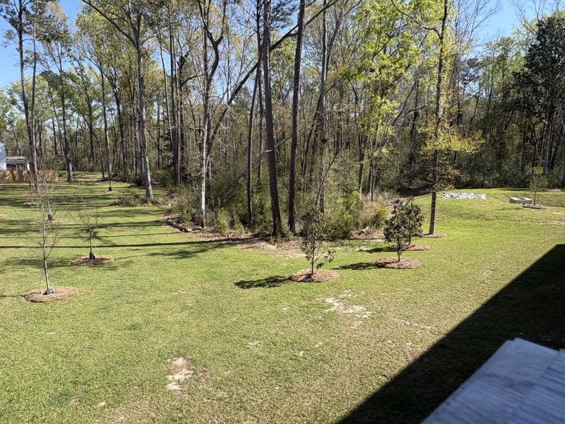 Natural landscape and outdoor views near  in Hanahan (Image 15).