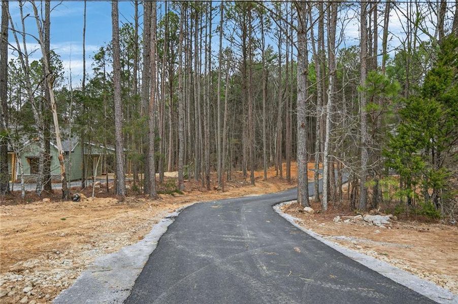 Natural landscape and outdoor views near in Cedartown (Image 29). Natural landscape and outdoor views near in Cedartown (Image 29).