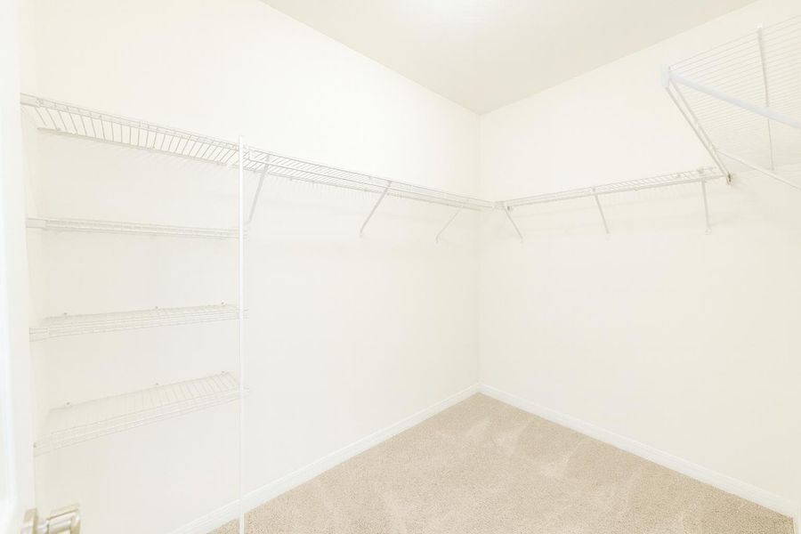 Spacious, unfurnished interior of a new home in , Cape Coral (Image 12). Spacious, unfurnished interior of a new home in , Cape Coral (Image 12).