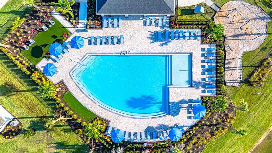 Community amenities in Indigo Creek, Apollo Beach (Image 46).