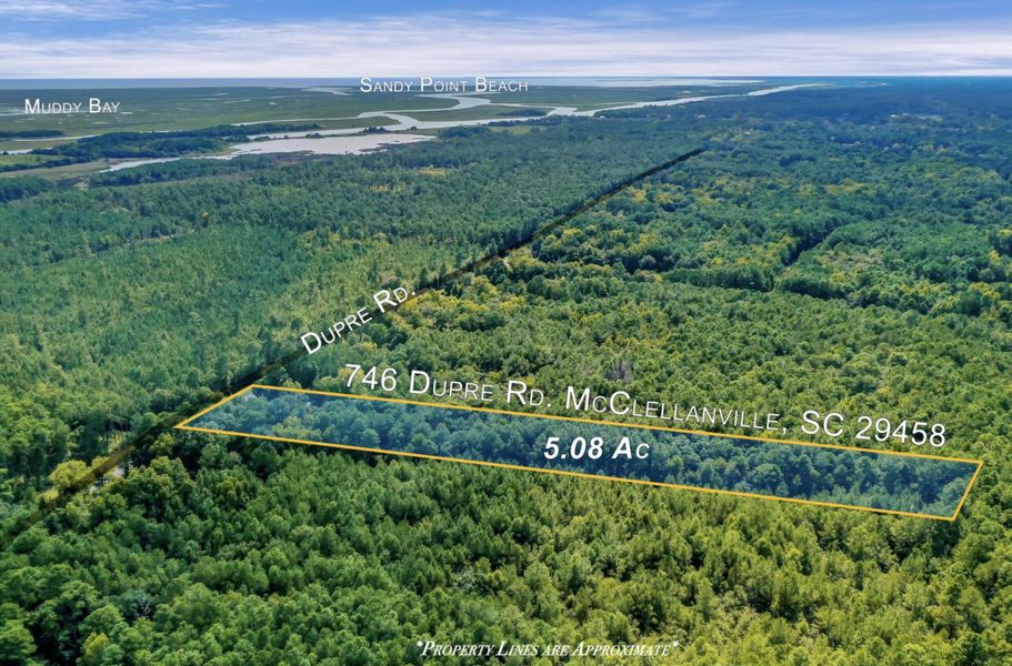 Natural landscape and outdoor views near  in McClellanville (Image 14).