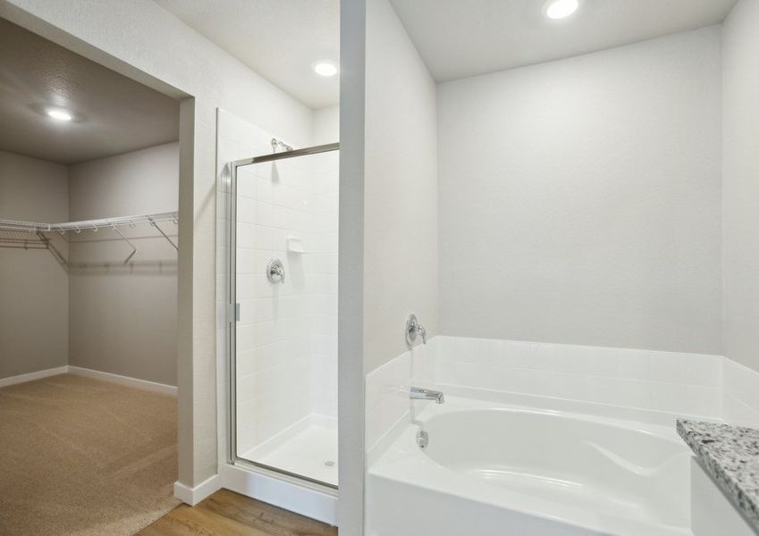 The master bathroom has a dual sink vanity and a step in shower and soaking tub.