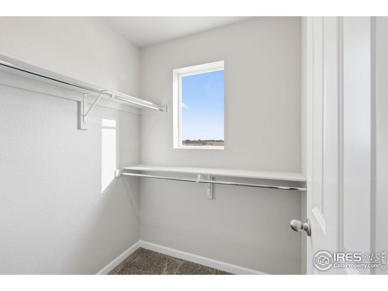 Spacious, unfurnished interior of a new home in Cordovan, Longmont (Image 29).