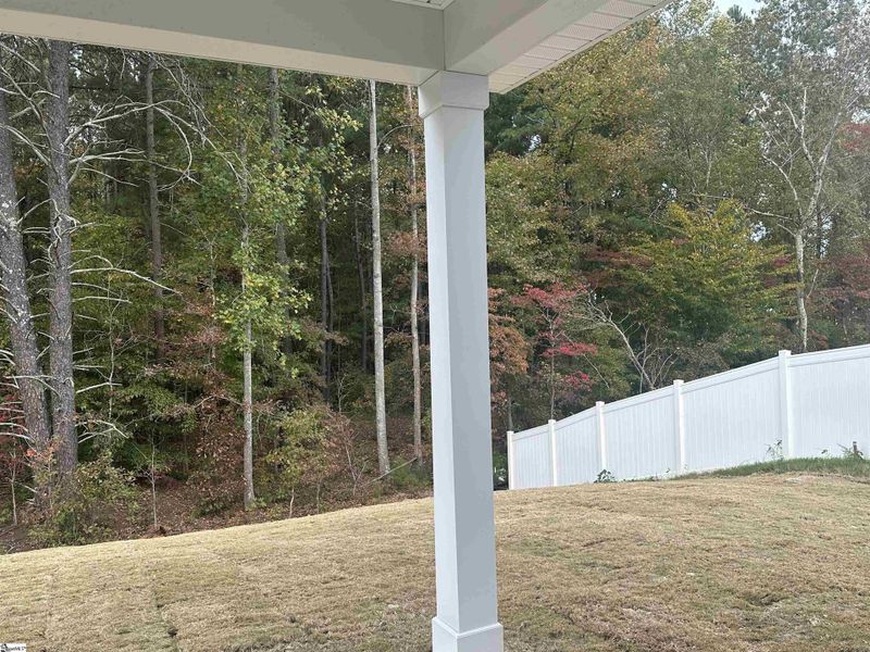 Exterior details and patio area of a home in Shiloh Trail, Wellford (Image 15).