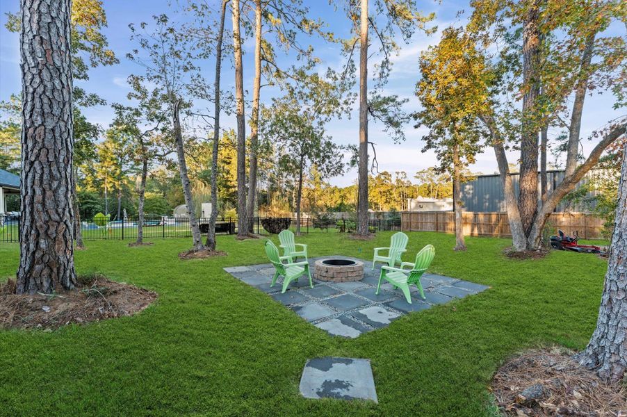 Backyard