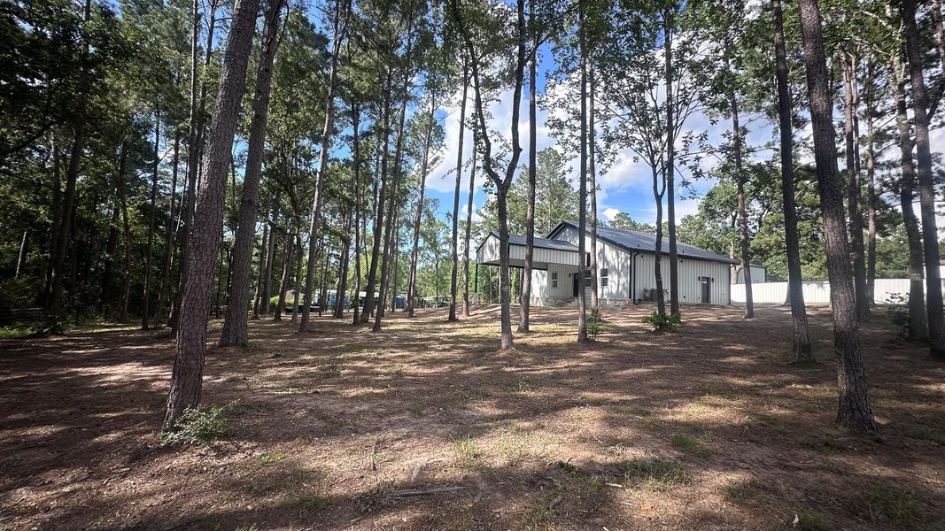 Natural landscape and outdoor views near  in Navasota (Image 24).