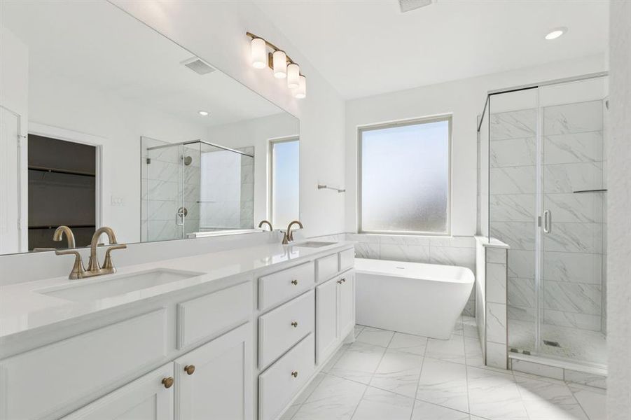 Full bathroom with double vanity, a shower stall, a freestanding tub, a walk in closet, and tile walls