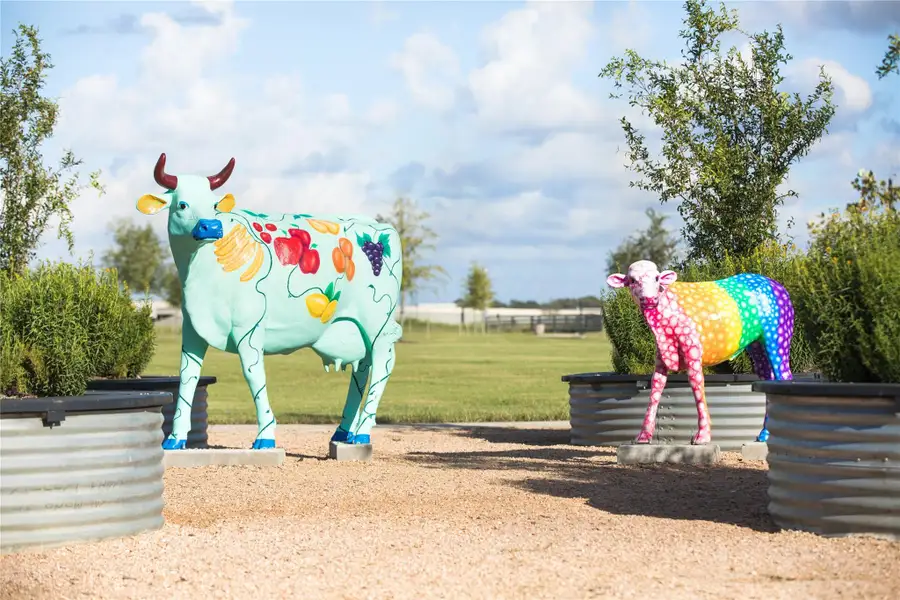 Community amenities in Harvest Green, Richmond (Image 4).