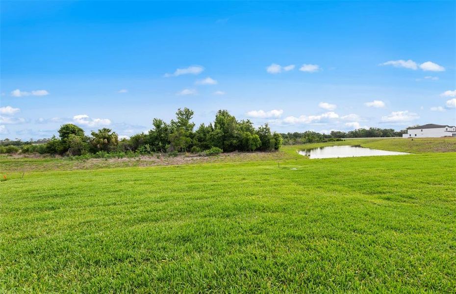 Natural landscape and outdoor views near Reagan Landing in Bradenton (Image 34). Natural landscape and outdoor views near Reagan Landing in Bradenton (Image 34).