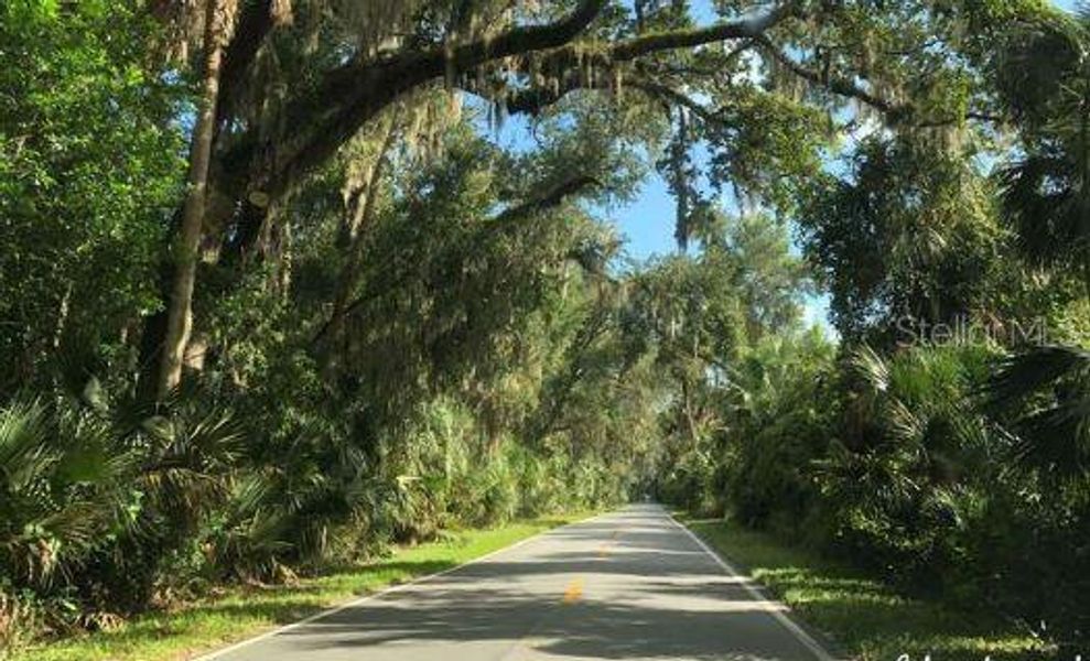 Natural landscape and outdoor views near Archers Mill in Ormond Beach (Image 24).