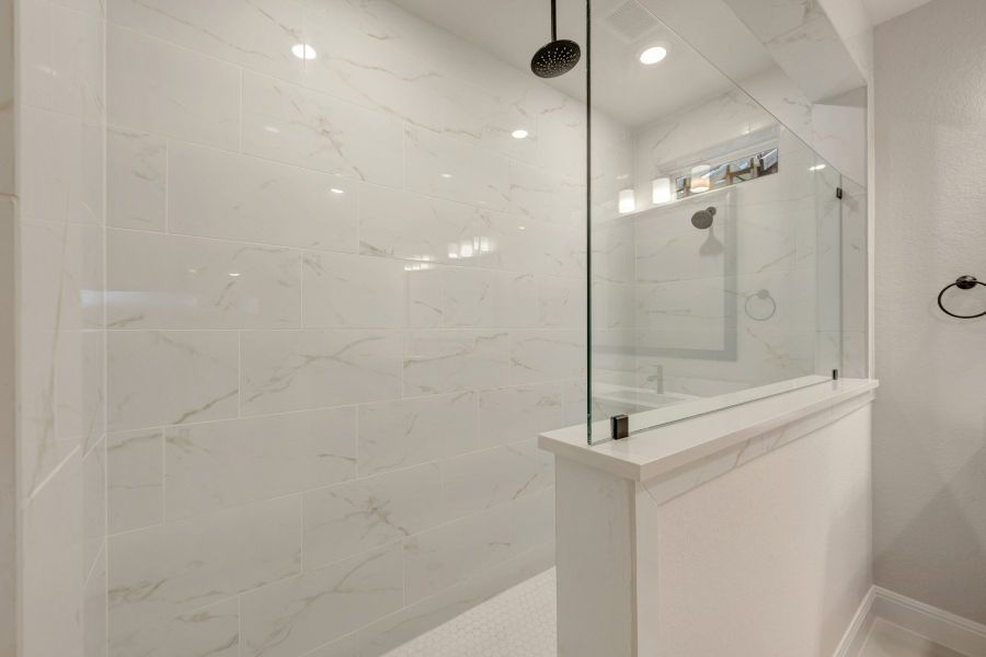 Owner's Bath