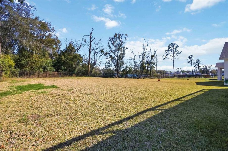 Natural landscape and outdoor views near Blue Diamond  in Orlando (Image 64).