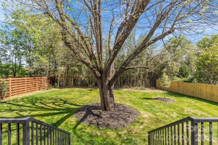 Natural landscape and outdoor views near  in Charlotte (Image 41).