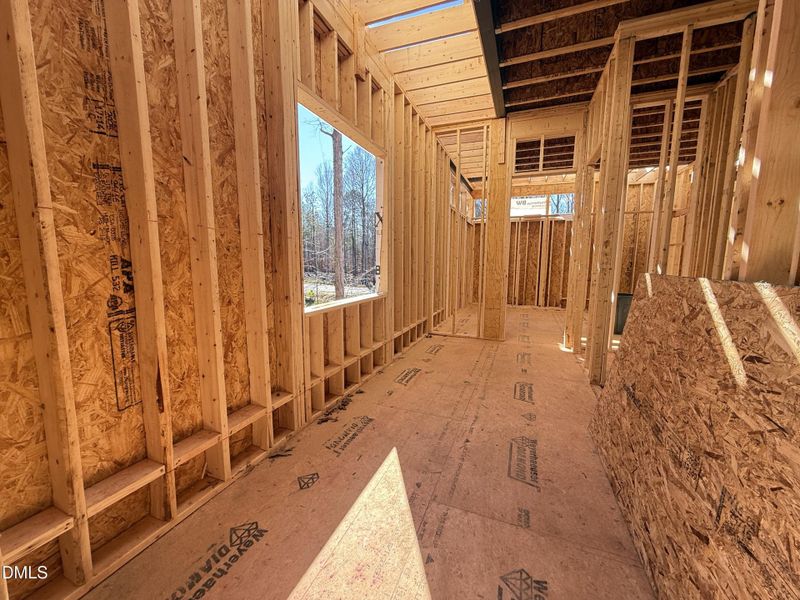 IMG_1970 2 IMG_1970 2