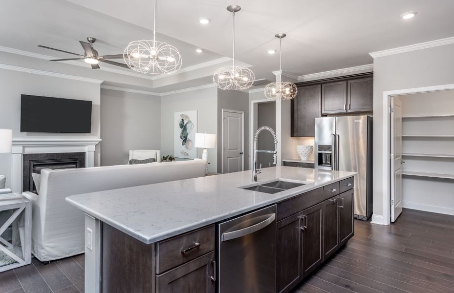 Furnished interior view inside a new home in Carolina Riverside, Belmont (Image 7).