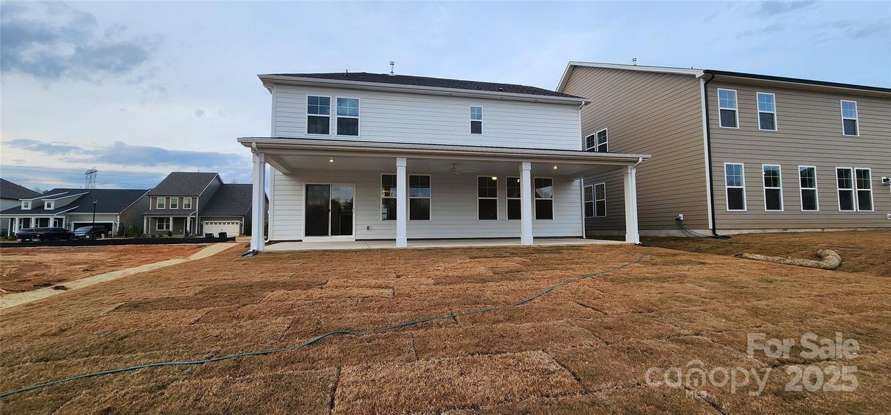 Great backyard Great backyard