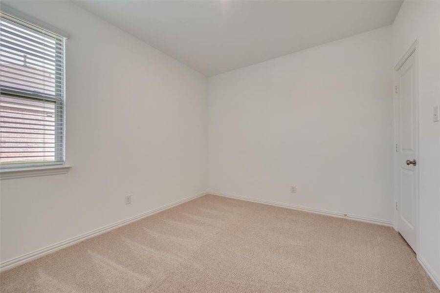 Unfurnished room featuring carpet and a wealth of natural light