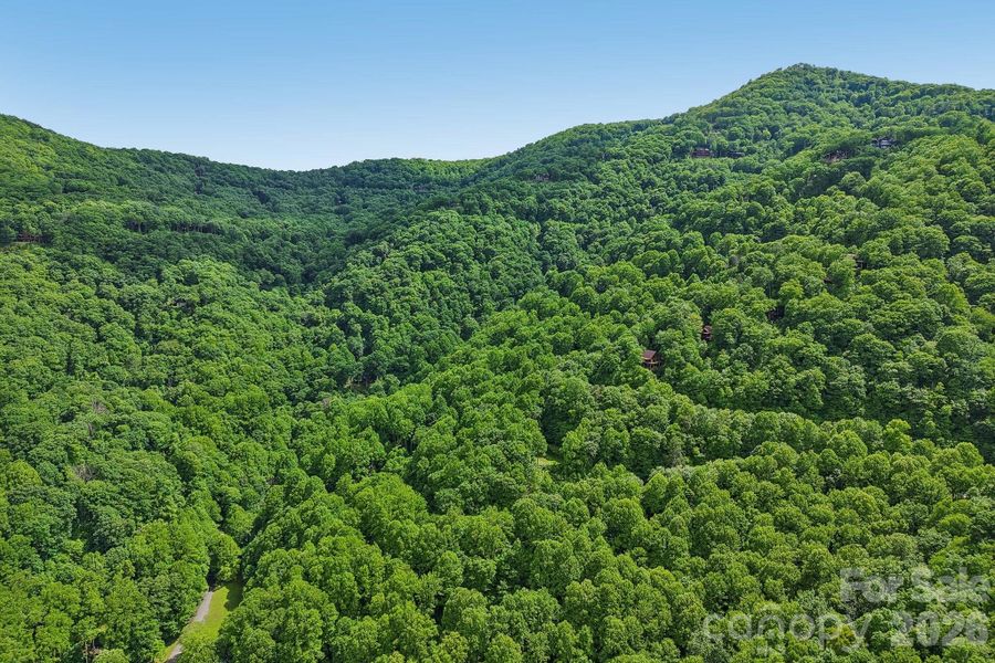 Natural landscape and outdoor views near  in Maggie Valley (Image 23).