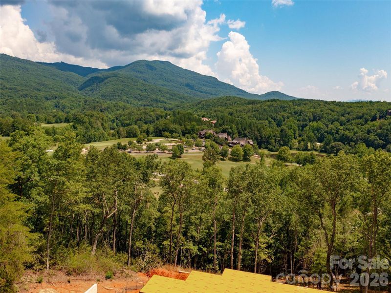 Natural landscape and outdoor views near  in Mill Spring (Image 30).