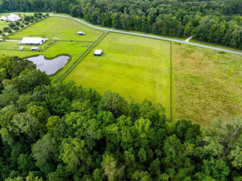 Natural landscape and outdoor views near  in Ravenel (Image 43).