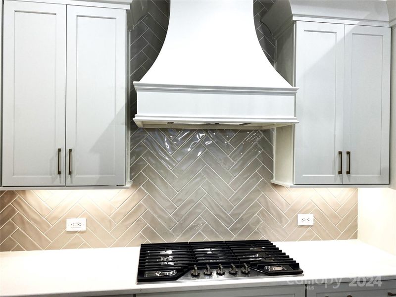 Cooktop & Upgrade Range Hood