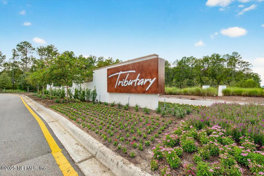 Image 47 of a home in Tributary.