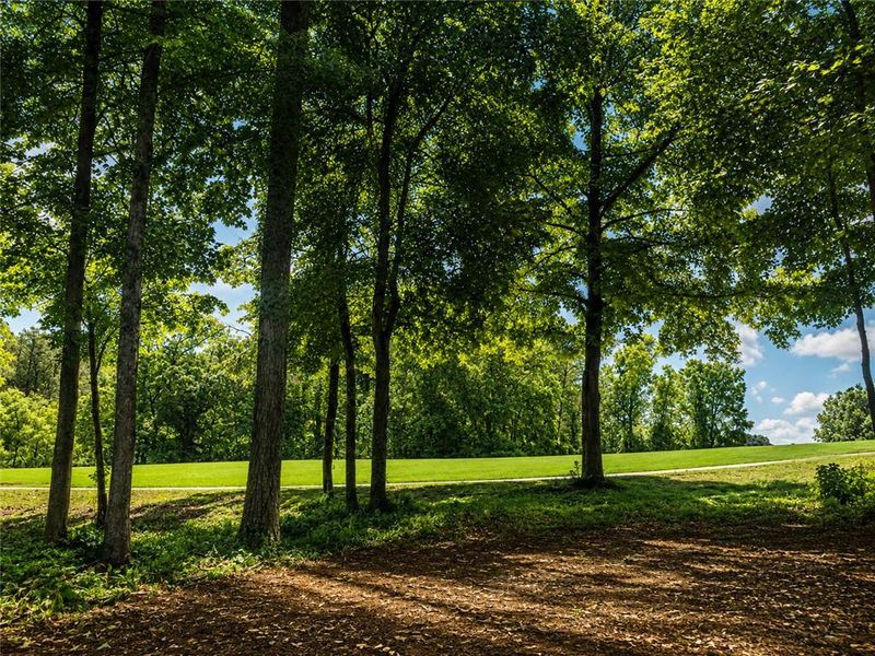 Natural landscape and outdoor views near  in Alpharetta (Image 54).