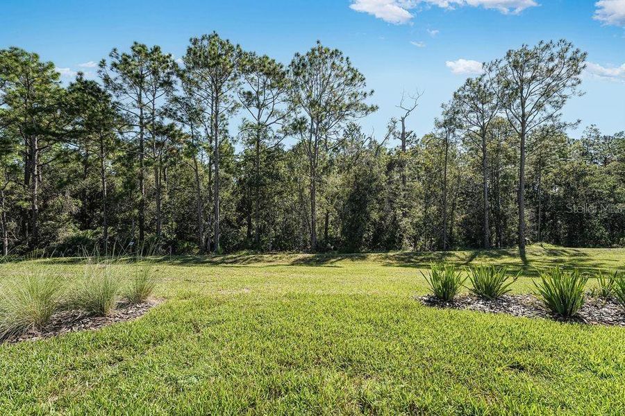 Natural landscape and outdoor views near Esplanade at Center Lake Ranch in St. Cloud (Image 28).