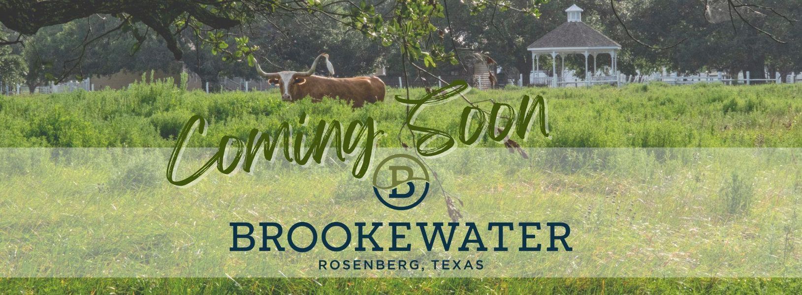 Image 36 of a home in Brookewater. Image 36 of a home in Brookewater.