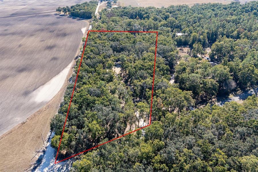 Natural landscape and outdoor views near  in Bell (Image 41).