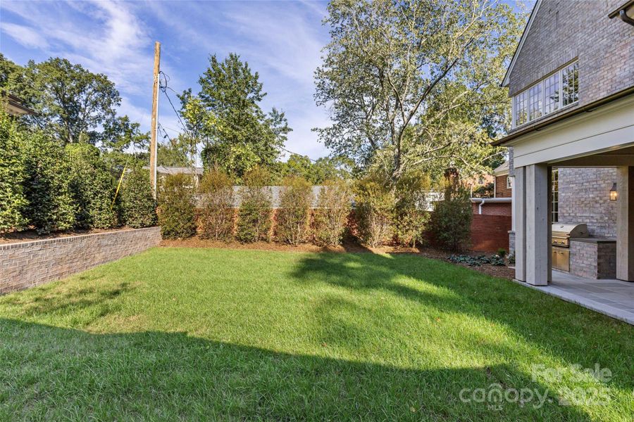 Natural landscape and outdoor views near  in Charlotte (Image 42).