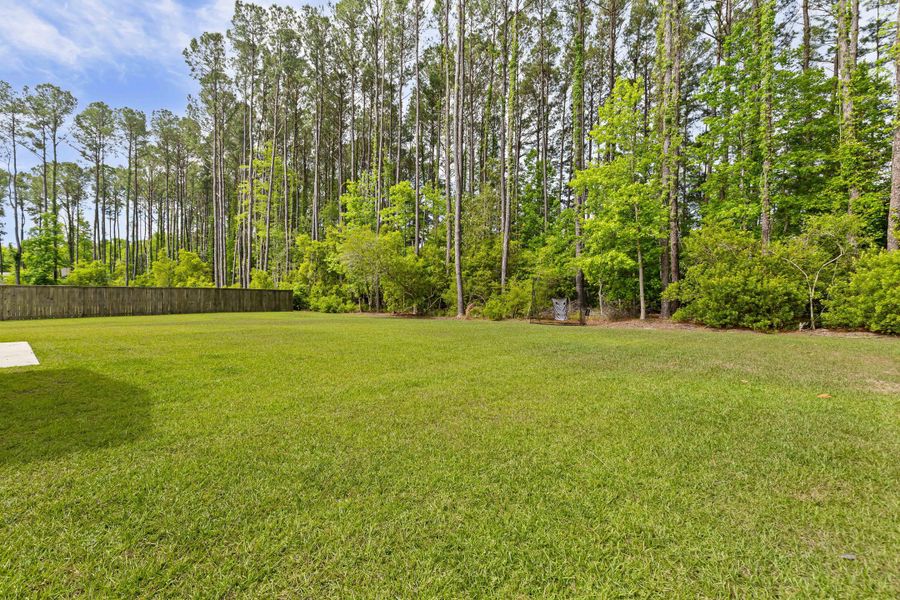 Natural landscape and outdoor views near  in Johns Island (Image 58).