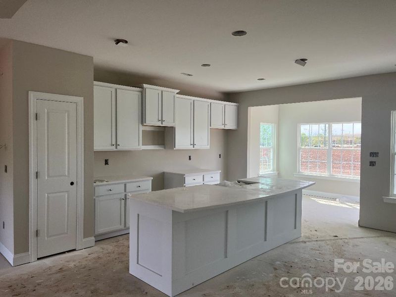 Beautiful Spacious Gourmet Kitchen