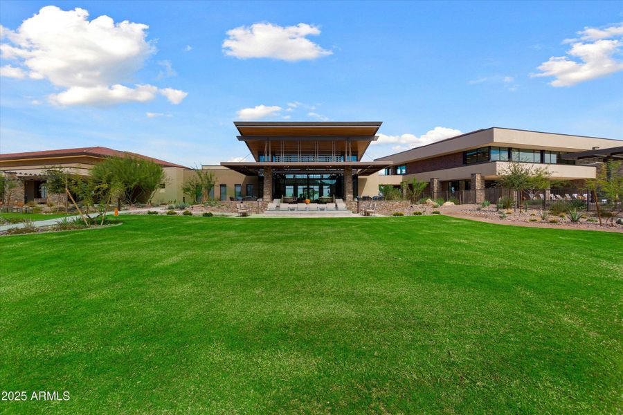 45-Saguaro-Sun City Festival 45-Saguaro-Sun City Festival